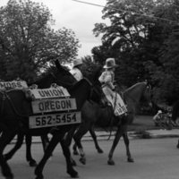 1981 Eastern Oregon Livestock Parade, Horses &amp; Riders 12