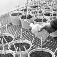 1979 Agriculture, Range Study 09
