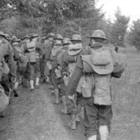 A group of a dozen soldiers marching away from the perspective of the camera.    They are all in full military gear with backpacks and sleeping bags.