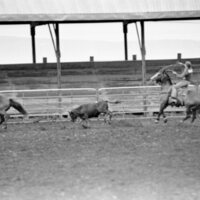 1978 Rodeo, Roping Pairs 08