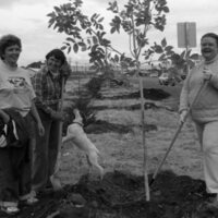 1985 Soroptimist Tree Plantings 07