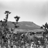 1976 Campus 03