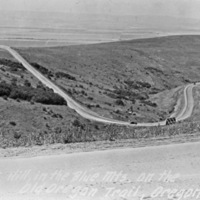 Cabbage Hill 1