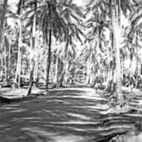 Dobodura Camp 3