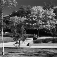 1977 Campus in Autumn 03