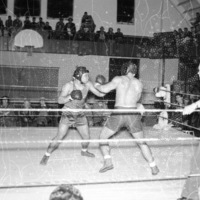 1949-50 Boxing 3-1