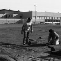 1981 Football Field, New Grass 05