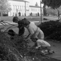 1983 Ackerman Elementary School, Bulb Planting 03