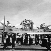 P-38, Inspection
