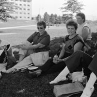 1987 Inlow Hall, Bushes 02