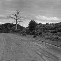 Luzon, Road Trip 3