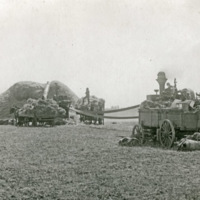 GRV, Threshing Operation 6