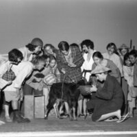 1977 Play, "Teahouse of the August Moon" 10