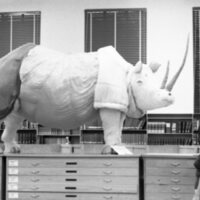 1978 Walter M. Pierce Library, Usage 09
