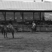 1982 EOSC Rodeo, Roping 02