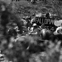 1984 Raft Race 06