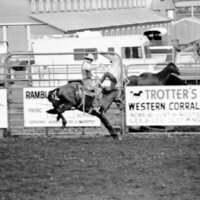 1978 Rodeo, Bronco Riding 12
