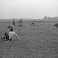 A group of men in a field crawling on all fours or doing crab walks while others stand and watch.