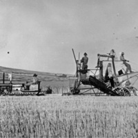 Elgin Farm, Carl Long 3