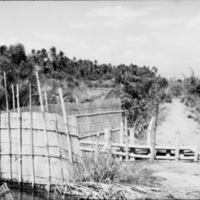 Binmaley, Fish Trap 3