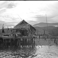 Hollandia Native Homes 3