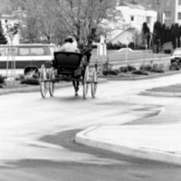 1988 Employee, Jack Johnson Carriage Ride 09