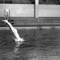 1979 Quinn Swimming Pool 01