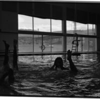 1989 Quinn Coliseum, Swimming Pool 12