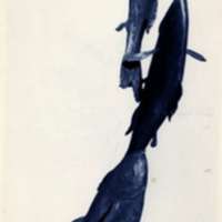 Sculpture, Bronze Fish