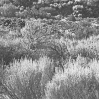 La Grande, Field 2