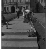 1989 Employees, Planting 02