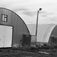 1979 Field Trip, Grande Ronde Commodities Plant 41