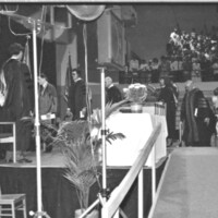 1989 Graduation, Faculty Walk 01