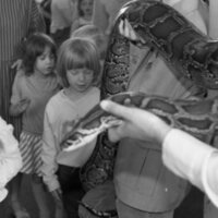 1985 Ackerman Elementary School, Safari 04