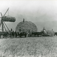 GRV, Stacking Hay 2