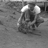 A monkey, named Jocko, sitting on the ground with another monkey beside it.  A man in short sleeves holds both of them so they face the camera.