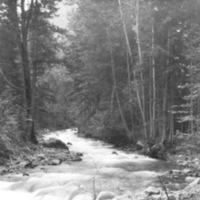 Cove, Stream 2