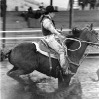 1991 Eastern Rodeo, Roping 14