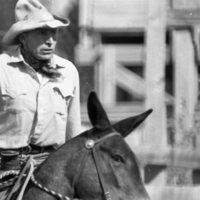 1981 Mule Rodeo, Pack Mule 04