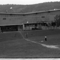 1985 Spring Festival, Kite Flying 16