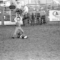1978 Rodeo, Roping 06