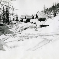 Cornucopia, Winter 2