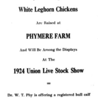 Union Stock Show Ad 28
