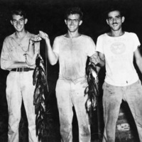 Big Emby Lake Fish Catch