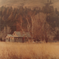 A house surrounded by trees in a field of yellow brush in the foreground, with a hill a dense tress in the background.