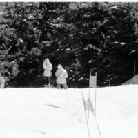1991 Skiing Championships 10