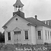 Alicel, Public School