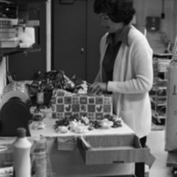1977 EOSC Bookstore Manager, Kathy Ferguson 02