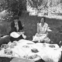 Reuter Group-DD, Picnic 3