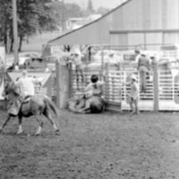 1978 Rodeo, Bronco Riding 17